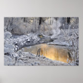 PosterWinter Dragon Poster (Vorne)