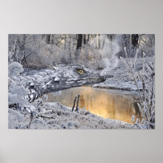 PosterWinter Dragon Poster (Vorne)
