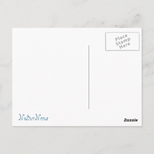 Postfach 4 Saisons Postkarte (Rückseite)