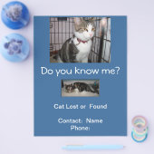 Postfach-Flyer verloren oder gefunden Flyer (Einzeln)