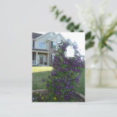 Postfach und Clematis Postkarte (Stehend Vorderseite)