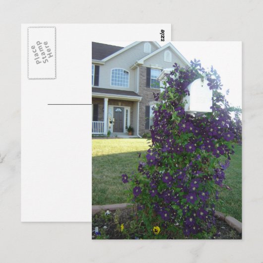 Postfach und Clematis Postkarte (Vorne/Hinten)