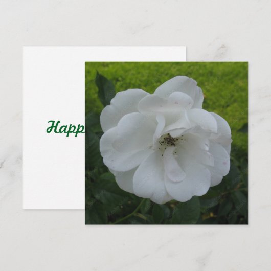 Postkarte (Vorne/Hinten)