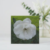 Postkarte (Stehend Vorderseite)