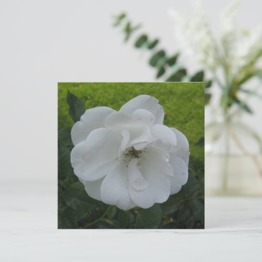 Postkarte (Stehend Vorderseite)