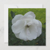 Postkarte (Vorderseite)