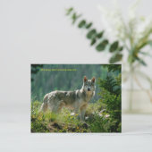 Postkarte (Stehend Vorderseite)