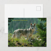 Postkarte (Vorne/Hinten)
