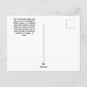 Postkarte (Rückseite)