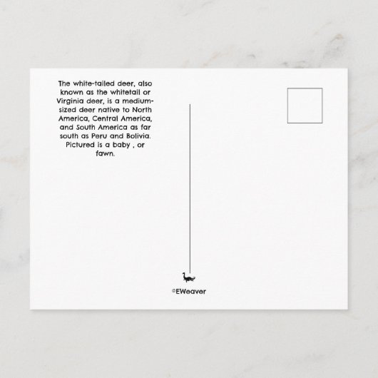 Postkarte (Rückseite)