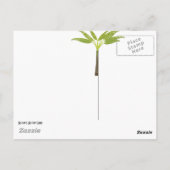 Postkarte (Rückseite)