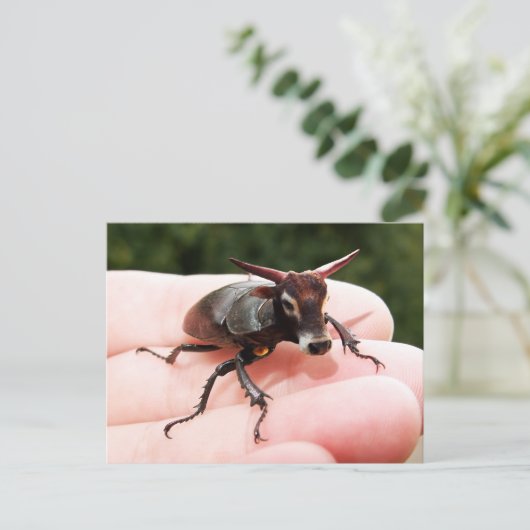 Postkarte (Stehend Vorderseite)