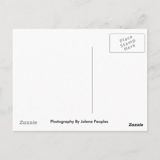 Postkarte (Rückseite)