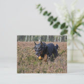 Postkarte (Stehend Vorderseite)
