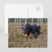 Postkarte (Vorne/Hinten)