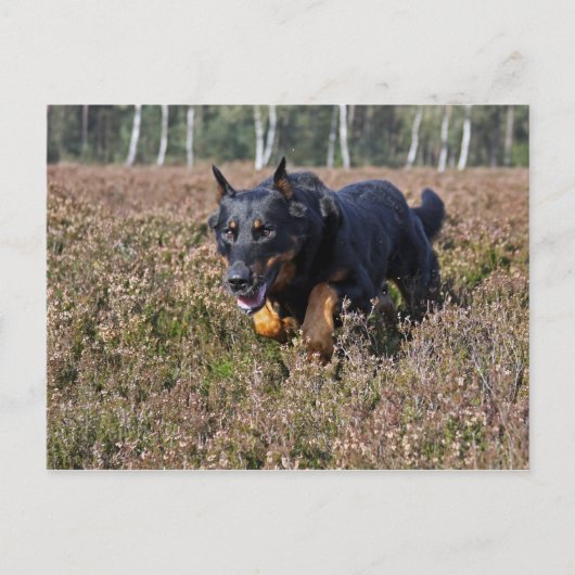Postkarte (Vorderseite)