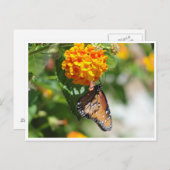 Postkarte (Vorne/Hinten)