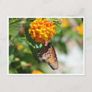 Postkarte
