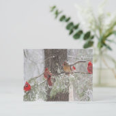 Postkarte (Stehend Vorderseite)