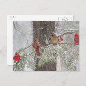 Postkarte (Vorne/Hinten)