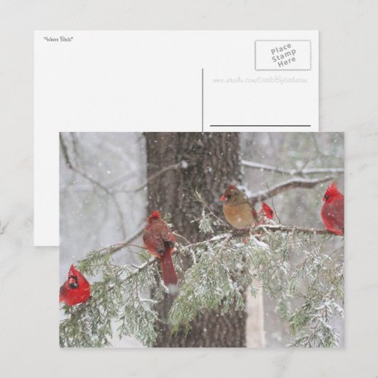 Postkarte (Vorne/Hinten)