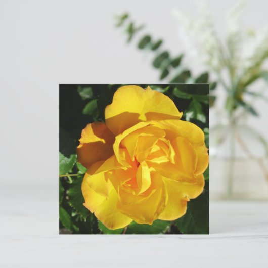 Postkarte (Stehend Vorderseite)