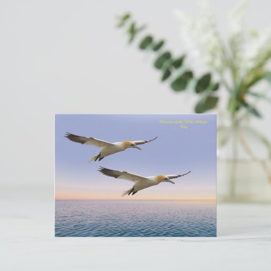 Postkarte (Stehend Vorderseite)