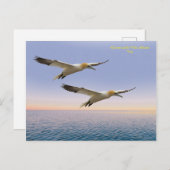 Postkarte (Vorne/Hinten)