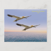 Postkarte (Vorderseite)