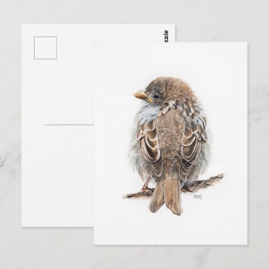 Postkarte (Vorne/Hinten)