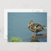 Postkarte (Vorne/Hinten)