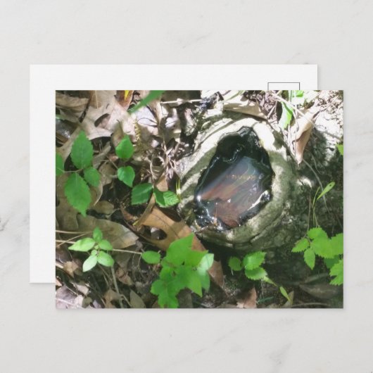 Postkarte (Vorne/Hinten)