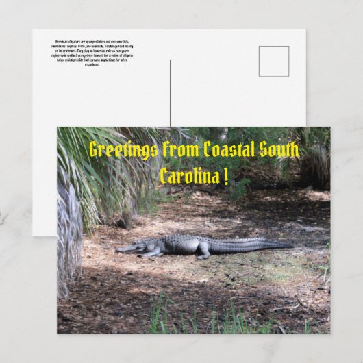 Postkarte (Vorne/Hinten)