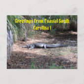 Postkarte (Vorderseite)