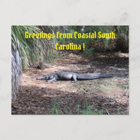 Postkarte (Vorderseite)