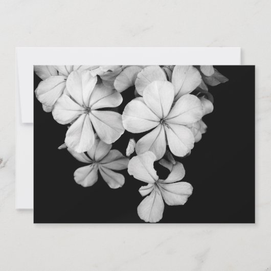 Postkarte (Vorderseite)