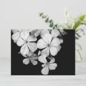 Postkarte (Stehend Vorderseite)