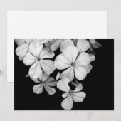 Postkarte (Vorne/Hinten)