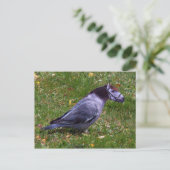 Postkarte (Stehend Vorderseite)