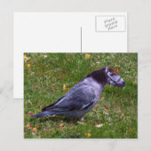 Postkarte (Vorne/Hinten)