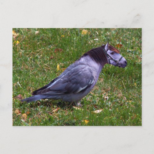 Postkarte (Vorderseite)
