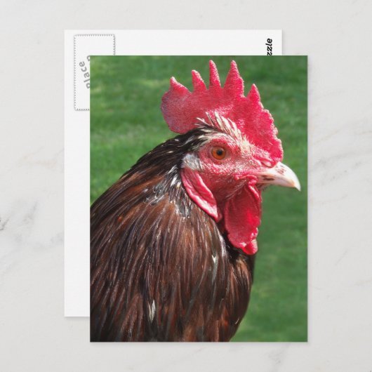 Postkarte (Vorne/Hinten)