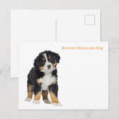 Postkarte (Vorne/Hinten)