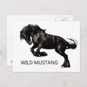 Postkarte (Vorne/Hinten)