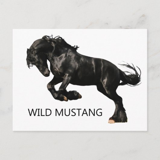 Postkarte (Vorderseite)