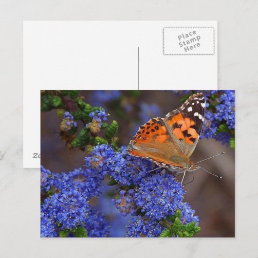 Postkarte (Vorne/Hinten)