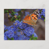 Postkarte (Vorderseite)