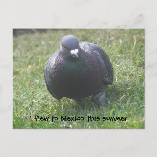 Postkarte (Vorderseite)