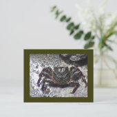 Postkarte (Stehend Vorderseite)