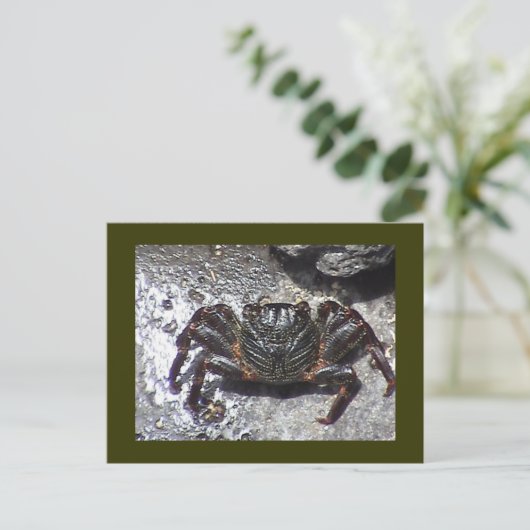 Postkarte (Stehend Vorderseite)